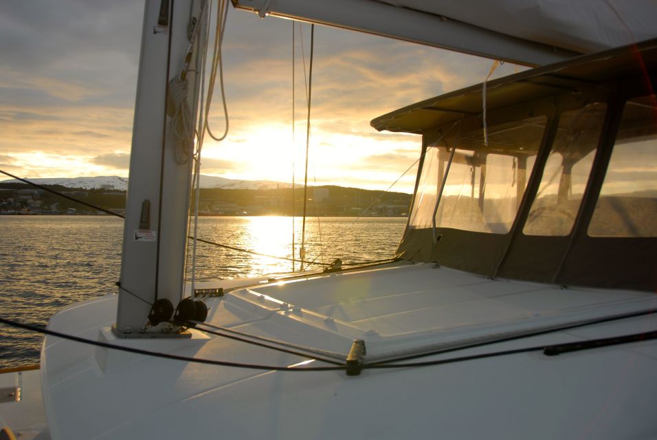 Tromsø: Midnight Sun Cruise in a Luxury Catamaran - Tour Location