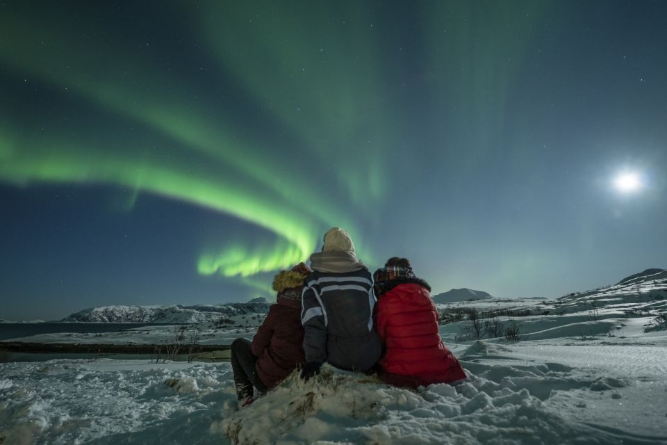 Tromsø: Northern Lights Guided Bus Tour - Traveling With Children