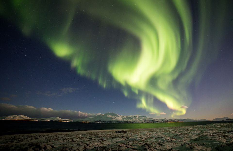 Tromso: Northern Lights Photography Bus Tour - Customer Feedback