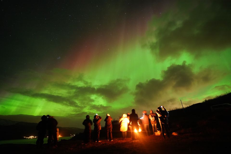 Tromsø: Northern Lights Tour With Free Professional Portrait - Customer Reviews
