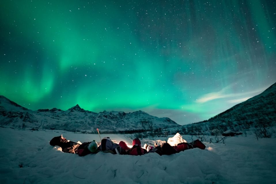 Tromsø: Small Group Aurora Hunt Tour With Citizen Science - Guest Reviews
