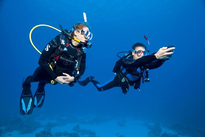 Try Scuba Dive (Baptism of the Sea) - Exploring Marine Life