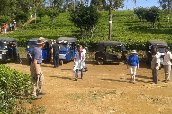 Tuk Tuk Safari and Picnic in the Tea Plantation From Ella,Haputale & Bandarawela - Common questions