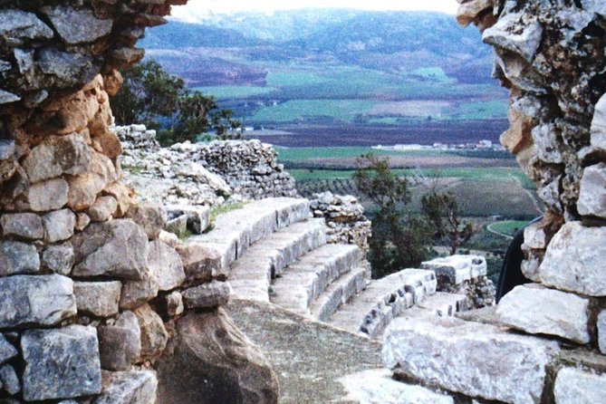 Tunis Private Dougga Guided Tour  - Tunisia - Common questions