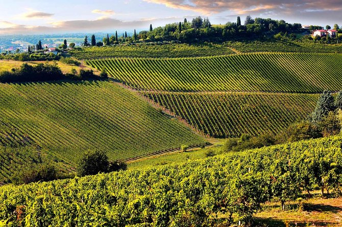 Tuscany Countryside From Livorno: Private Volterra, San Gimignano & Wine Tasting