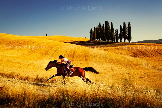 Tuscany Photo Tour With a Professional Photographer  - Arezzo - Common questions