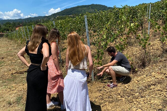 Tuscany Secret Winery Tastings and Lunch Group Tour From Lucca  - Pisa - Additional Resources
