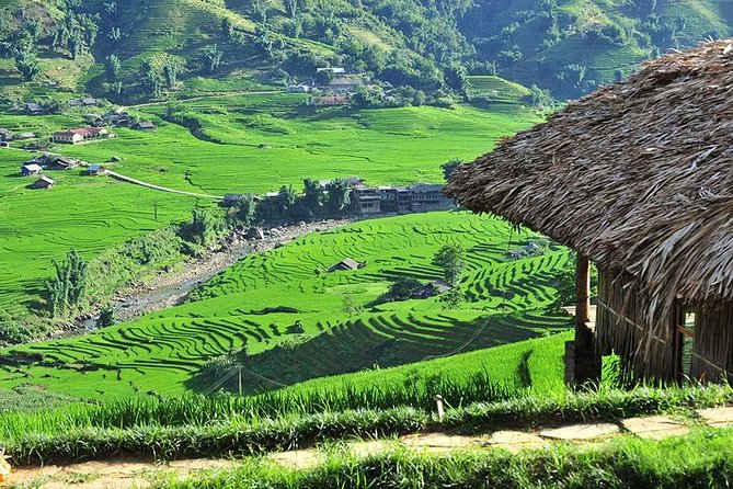 Two-Day Small-Group Hiking Tour From Hanoi to Sapa - Guide Performance and Recommendations