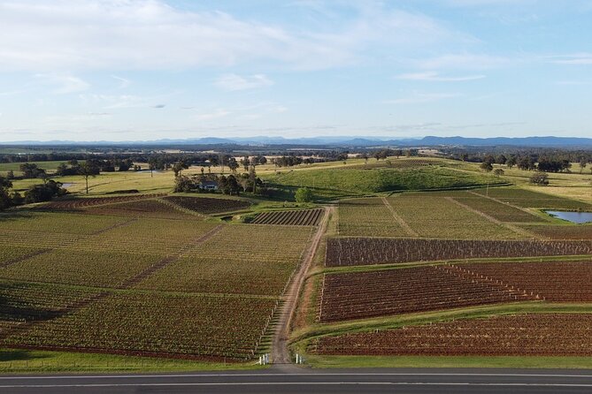 Tyrrells Vat 1 Vertical Wine Tasting in Pokolbin, NSW - Booking Details