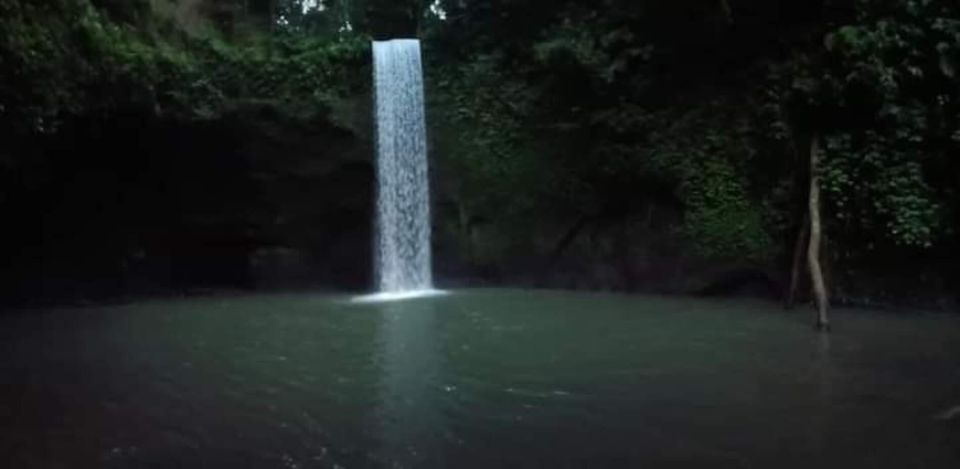 Ubud: Holy Water Temple Cleansing and Hidden Waterfall Tour - Customer Reviews and Recommendations