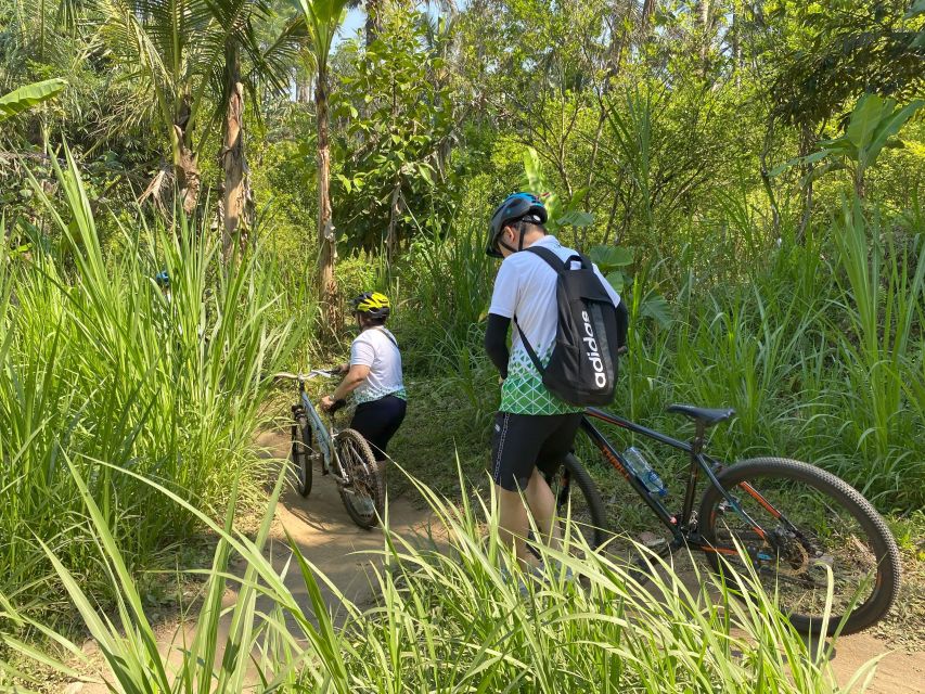 Ubud: Private Bike Tour With Rice Field, Volcano, Meal, Pool - Indonesian Lunch and Pool Relaxation