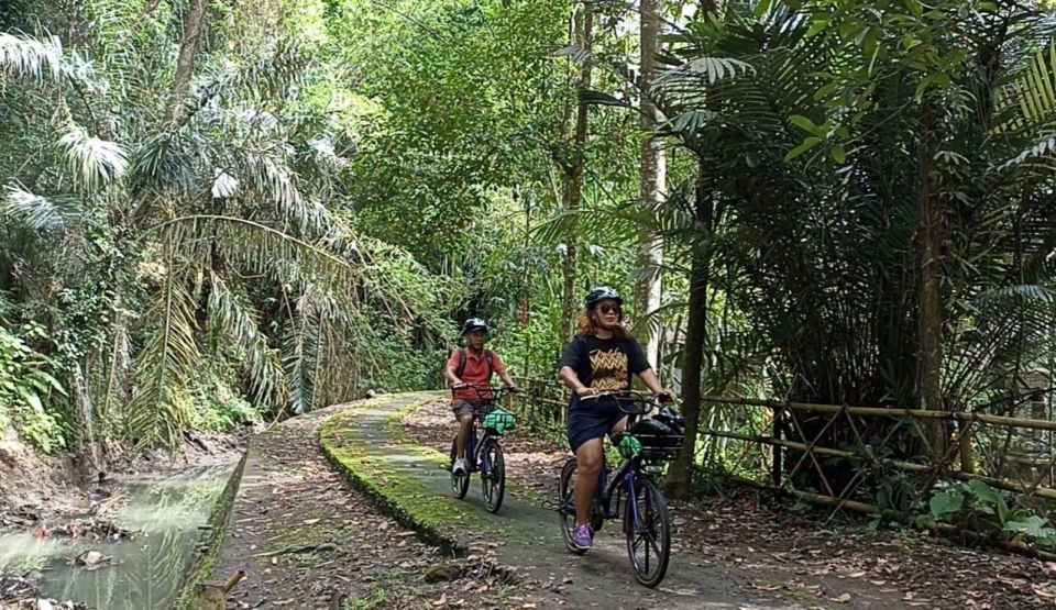 Ubud: South E-Bike Tour & Whitewater Rafting - Location and Customer Feedback