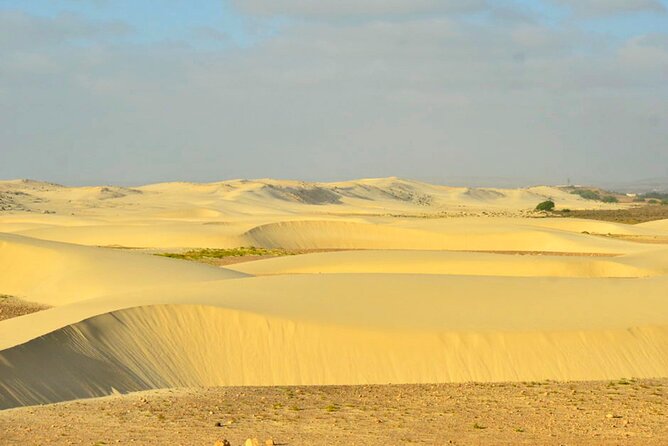 Ultimate Boa Vista Adventure - 7 Days 6 Nights - Additional Trip Information