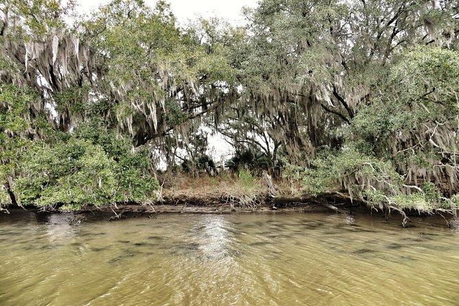 Ultimate Swamp Tour Experience With Transportation From New Orleans - Last Words