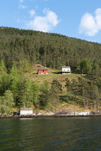 Ulvik Adventure: Exploring Hardangerfjord's Osafjord by RIB - Inclusions