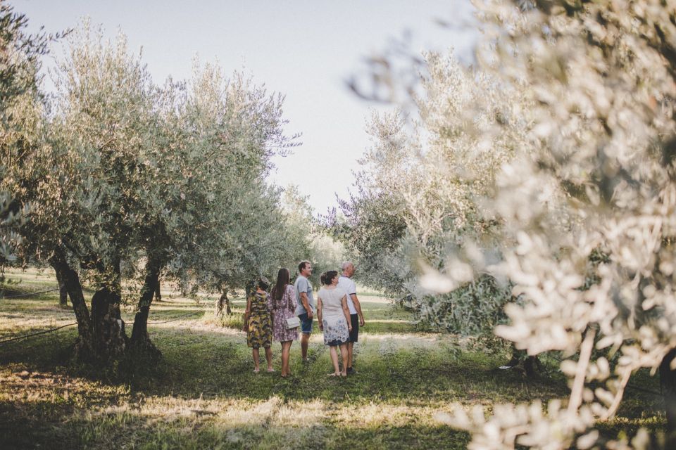 Umag: Olive Oil, Wine, and Local Food at a Family Farm - Producers Insights and Tips