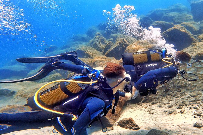 Underwater Sightseeing - Individual Dive Trip Under Tenerife - Reviews and Customer Feedback