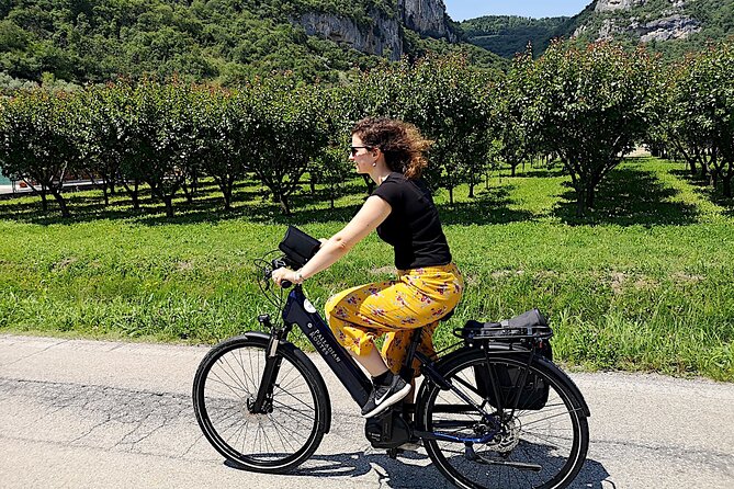 Unesco Palladian Villas in Vicenza: E-Bike Private Tour With Picnic and Aperitif - Safety and Guidelines