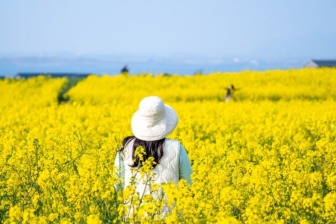 UNESCO Private Guided Culture and Nature Tour in JeJu Island - Questions and Support