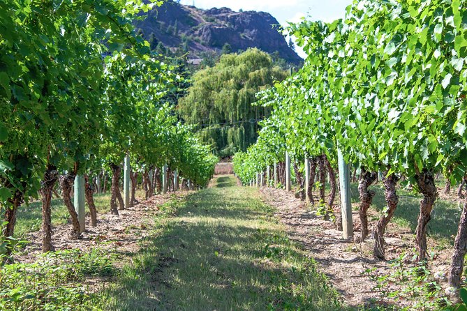 Unmatched Private Wine Tours for Up to 11 in Kelowna Area - Common questions