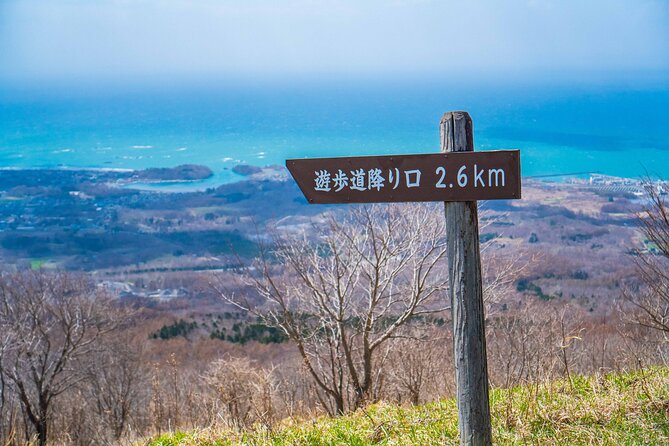 Usuzan Volcano Guided Hiking Private Tour - Booking Process and Confirmation