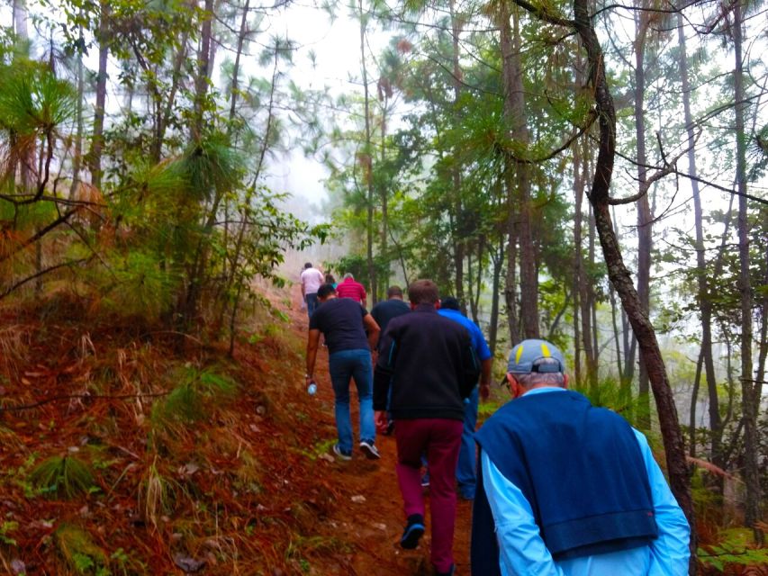 Valle De Bravo: Forest Hiking Adventure - Additional Information