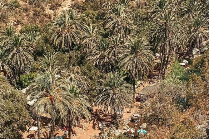 Valley of Paradise 1/2 Day Departure From Agadir and Taghazout - Last Words