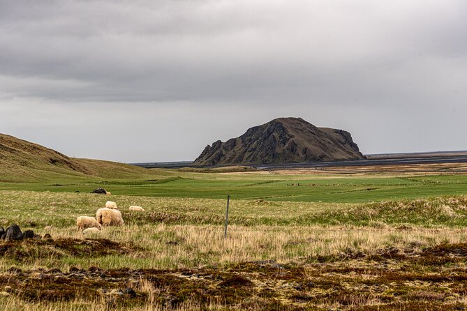 Valley of Thor Super-Truck Tour in Reykjavík - Booking Process