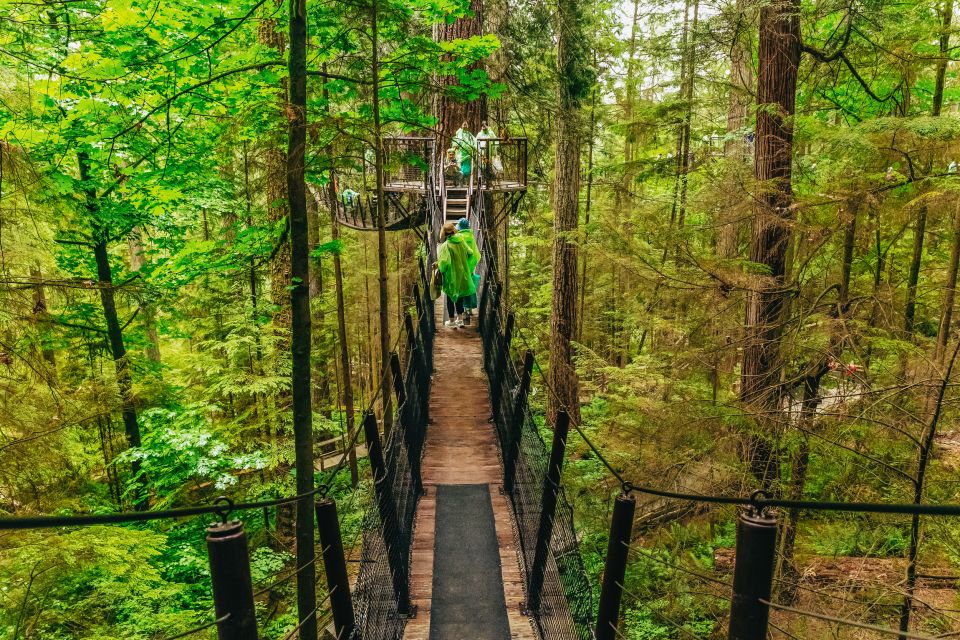 Vancouver & Capilano Suspension Bridge Sightseeing: Half-Day - Price