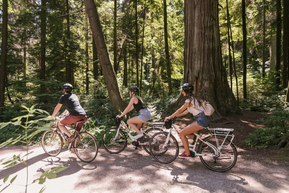 Vancouver: Half-Day City Highlights E-Bike Tour Age 16 - Location & Tour Details