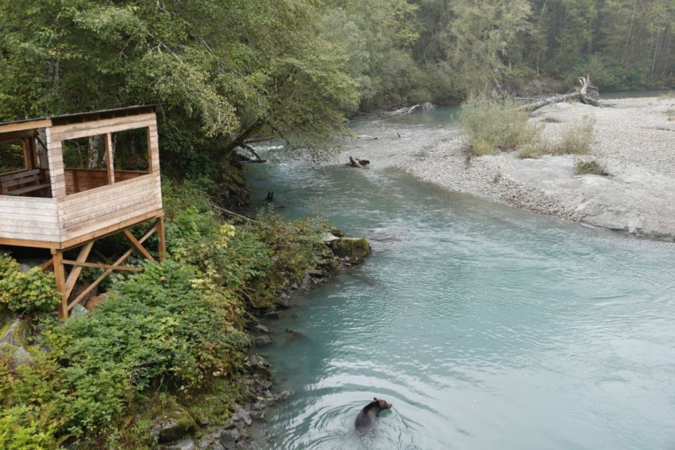 Vancouver Island: Full-Day Grizzly Bear Tour at Toba Inlet - Educational Engagement and Cultural Insights