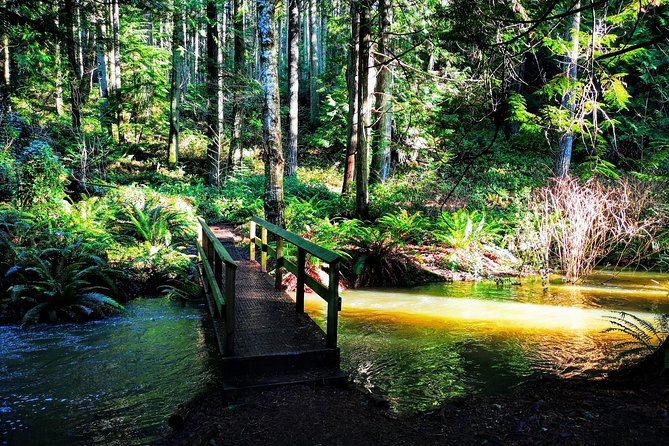 Vancouver Island Rainforest Guided Hike With Private Guide - Common questions