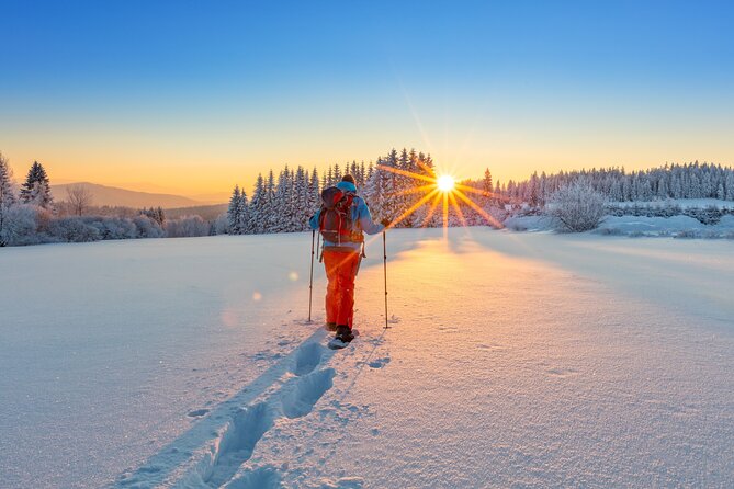 Vancouver: North Shore Mountains Small-Group Snowshoeing Tour - Tour Directions