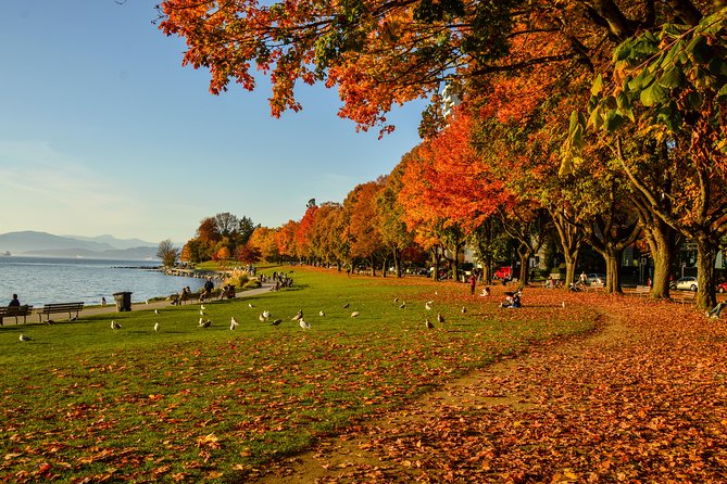 Vancouver Photography Private Tour Including Stanley Park - Booking Details