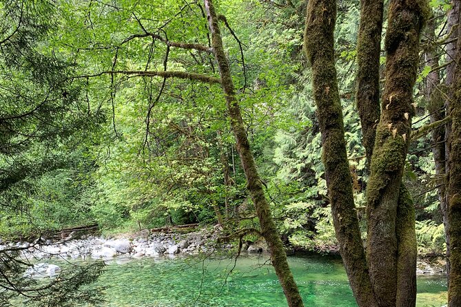 Vancouver Rainforest Hike With Waterfalls, Suspension Bridge, Old Growth Forest - Common questions