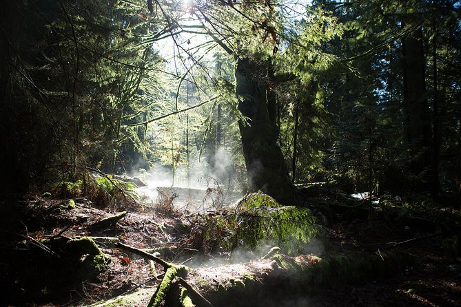 Vancouver Secrets of Stanley Park Walking Tour - Meet-Up Details