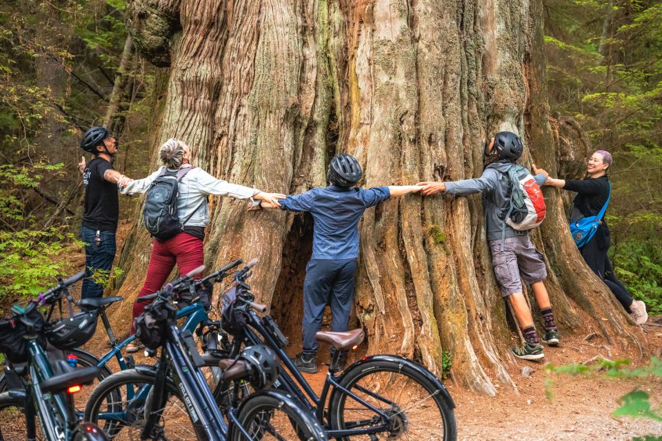 Vancouver: Stanley Park Bicycle Tour - Common questions