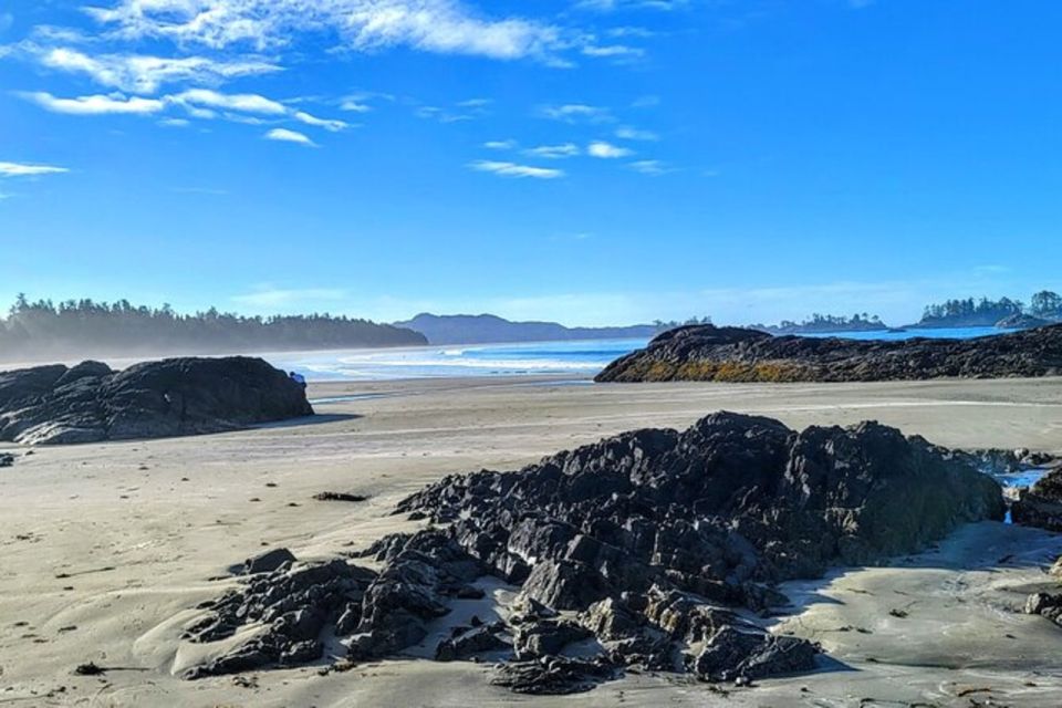 Vancouver to Tofino 2 Day Tour Private - Guides Role and Immersive Experience