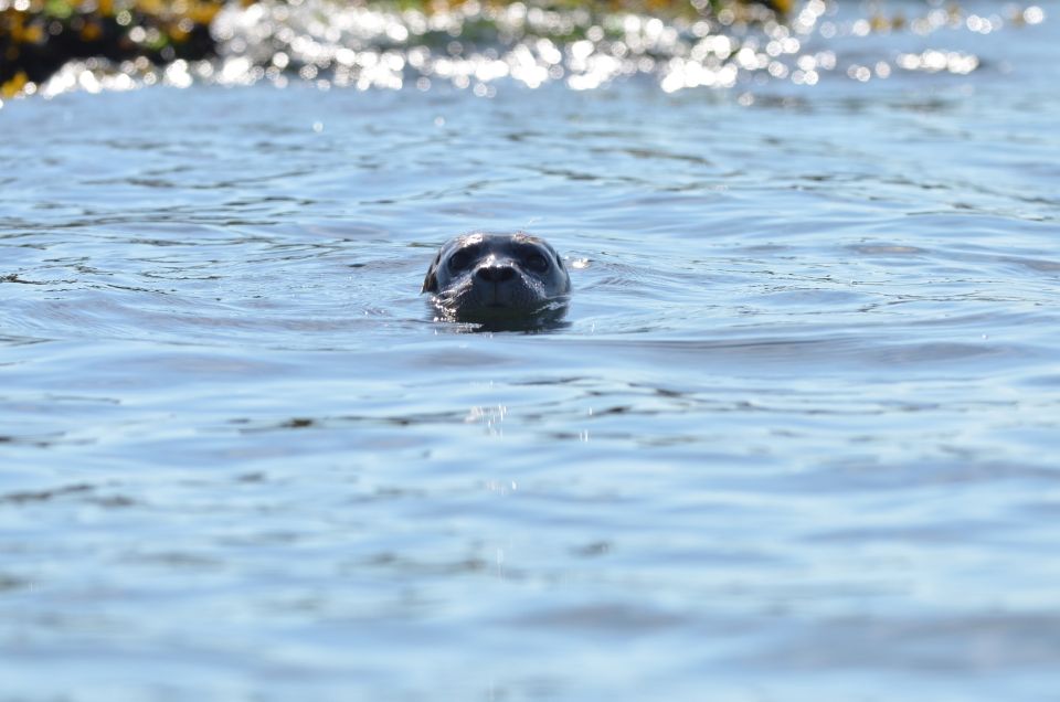 Vancouver: West Vancouver Howe Sound Islands Circle Tour - Helpful Tour Tips