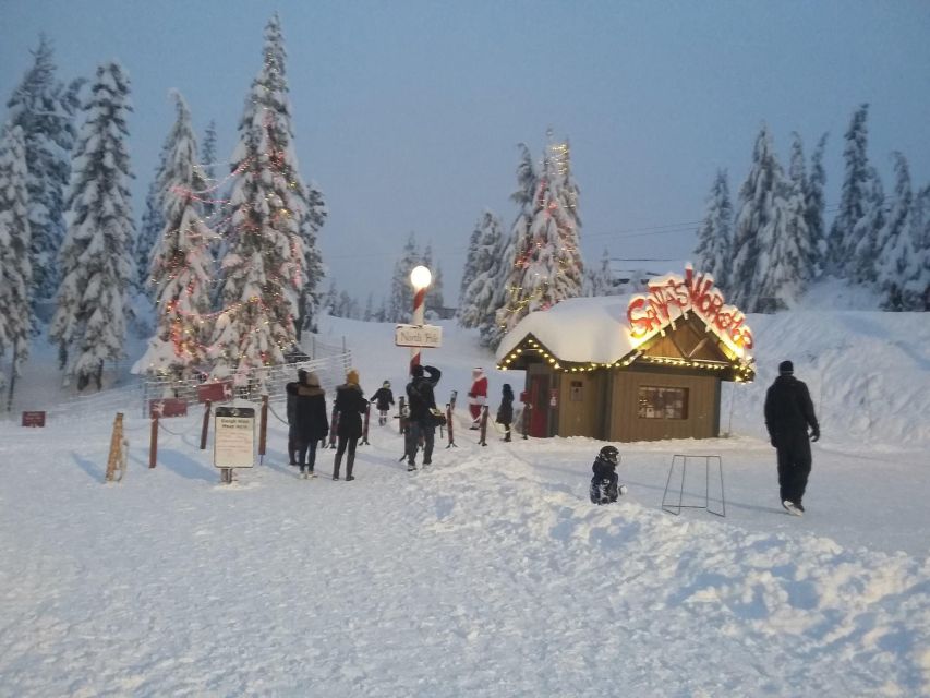 Vancouver Winter Fun Mountain Adventure Tour Private - Overall Experience and Benefits