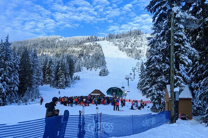 Vancouver Winter Fun Mountain {Grouse, Cypress, Seymour)Private - Private Tour Details