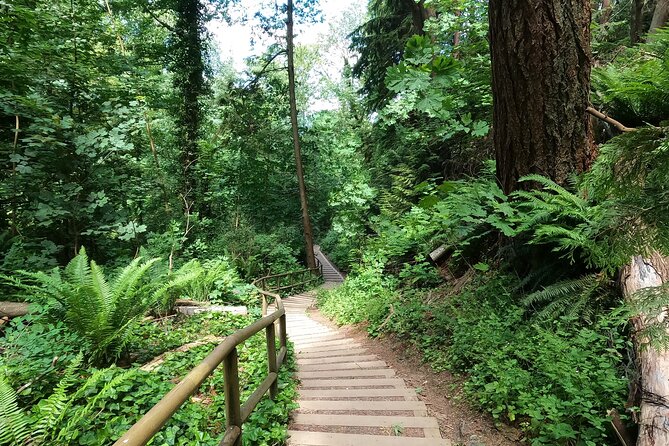 Vancouvers Natural Stair Master Workout, With Beach Walk - Common questions