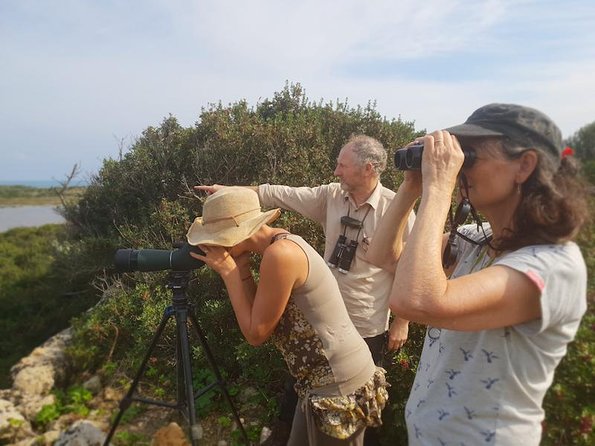 Vendicari - Sicilys Best Coast Nature Reserve ( Birdwatching & Archeology ) - Common questions