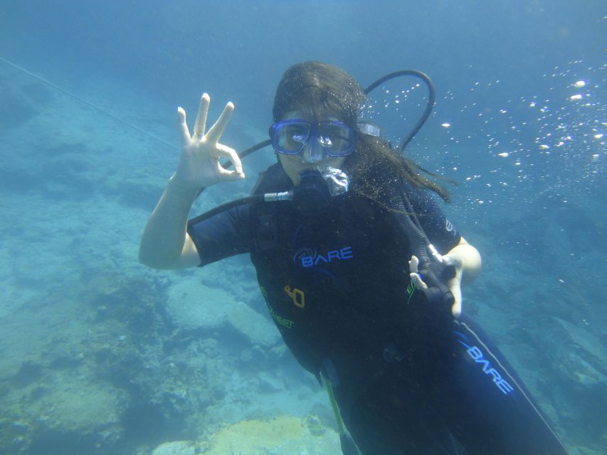 Venezuela: Discover Scuba Dive in Choroni Coral Reefs - Last Words