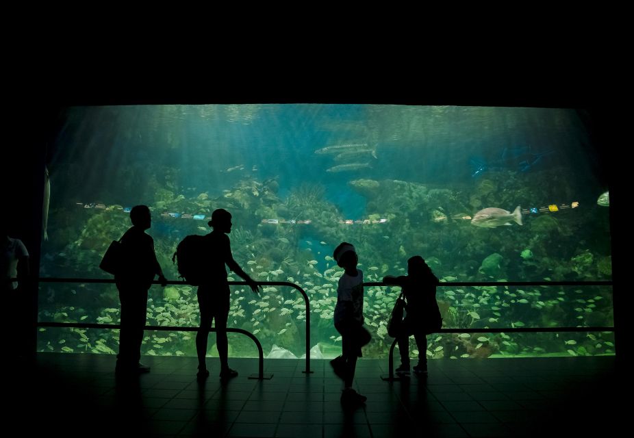 Veracruz: Sightseeing City Tour and Aquarium - Additional Information