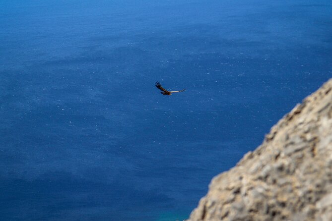 Via Ferrata in Crete at Asterousia Mountains - Common questions