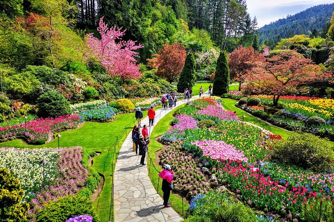 Victoria City and Butchart Gardens Private Half-Day Tour - Efficient Tour Experience Insights