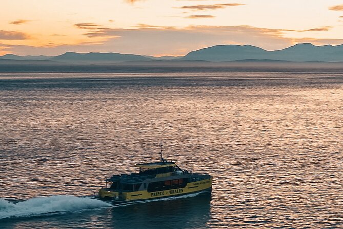 Victoria Sunset Whale-Watching Catamaran Sailing Tour - Wildlife Encounters