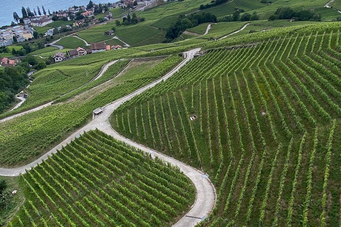 Vine Stories: Lavaux & Lutry Wine Walk - Weather Considerations