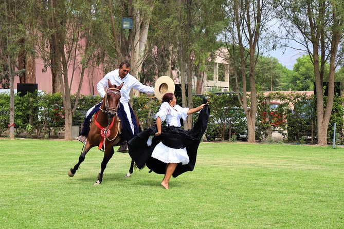 Vineyard & Buggy Tour in Huacachina / 1 Day Tour From Lima - Pricing and Payment Details